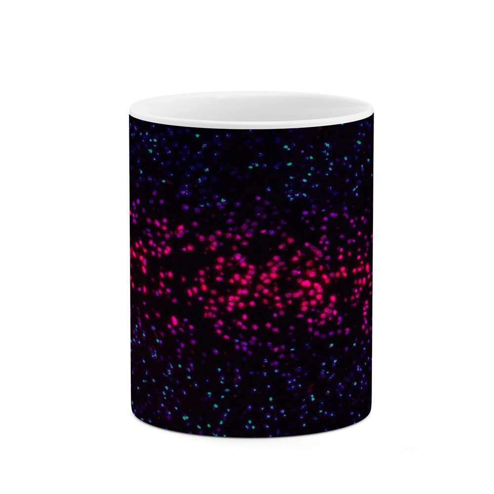 ماگ کاکتی طرح فانتزی مدل mgs16848