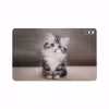 برچسب پوششی ماهوت مدل Cat-2 مناسب برای تبلت هوآوی Matepad 10.4 2020 BAH3-L09