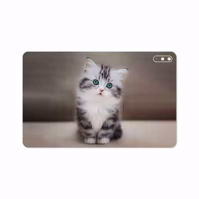 برچسب پوششی ماهوت مدل Cat-2 مناسب برای تبلت هوآوی Matepad 10.4 2020 BAH3-L09