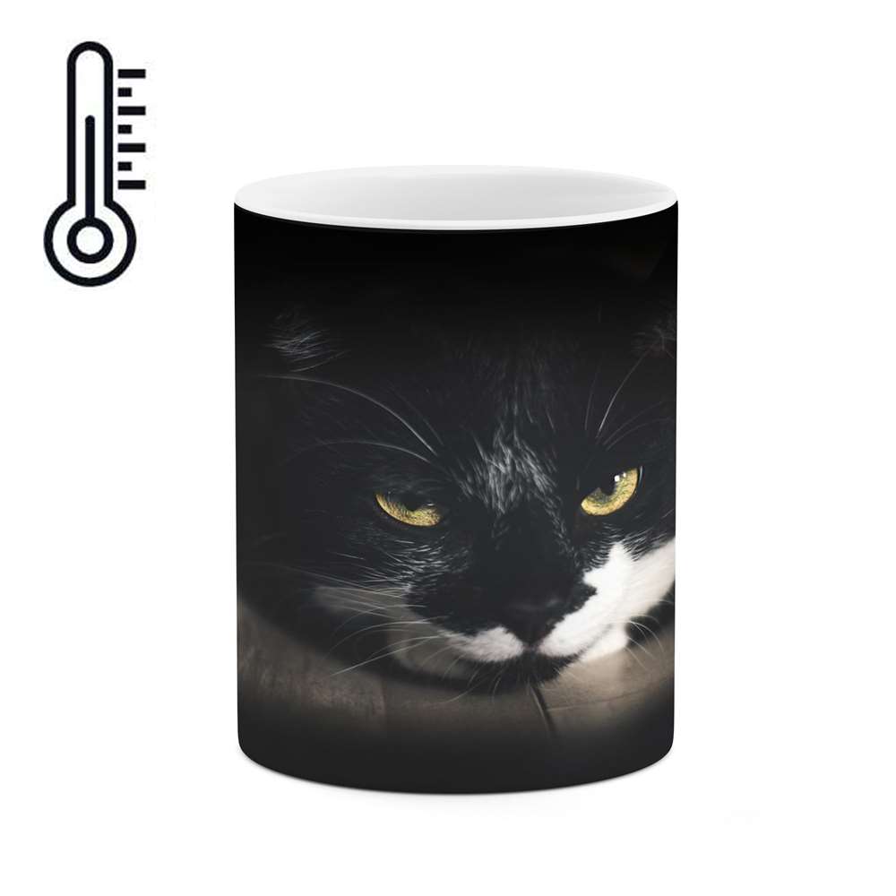 ماگ حرارتی کاکتی طرح گربه مدل mgh16674