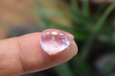 امتیست دامله(کاپوشی)