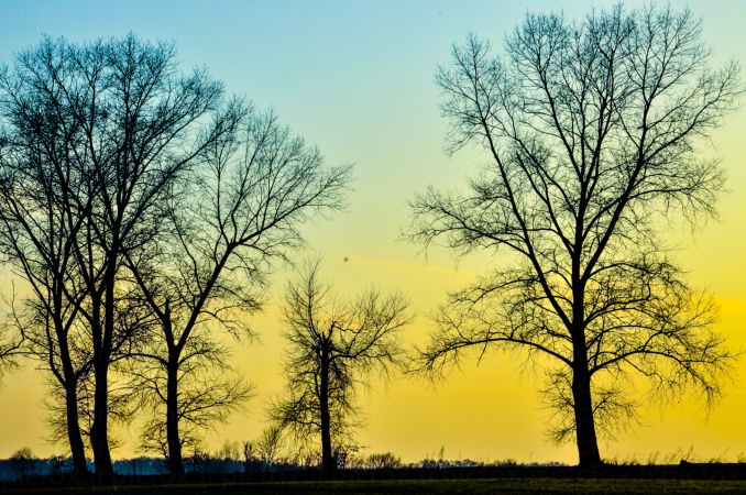 خرید و دانلود عکس Nature-Part-9 کد 37292 | پیک فاکس | Pic Fox