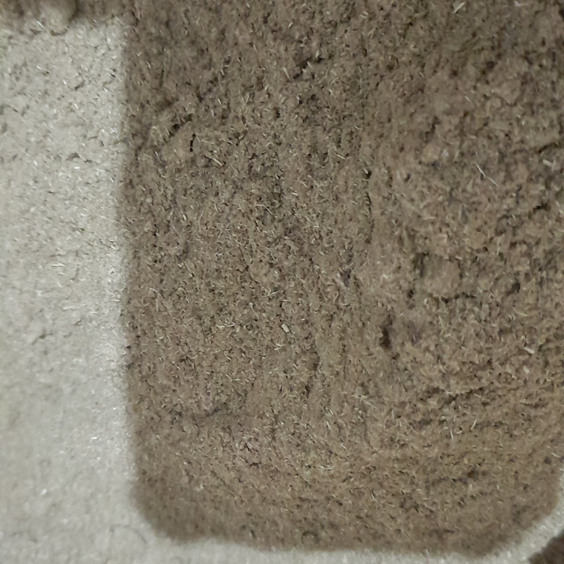 پودر اویشن  اعلا