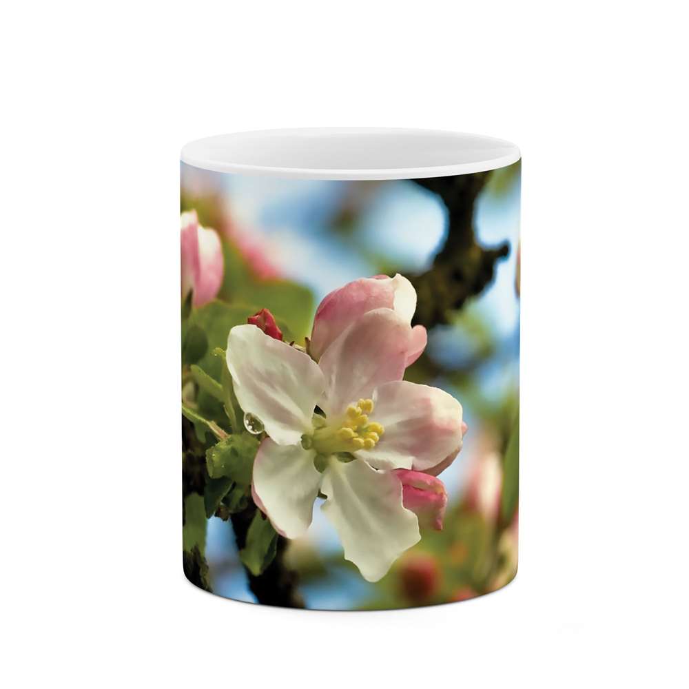 ماگ طرح شکوفه گل مدل mgs06785