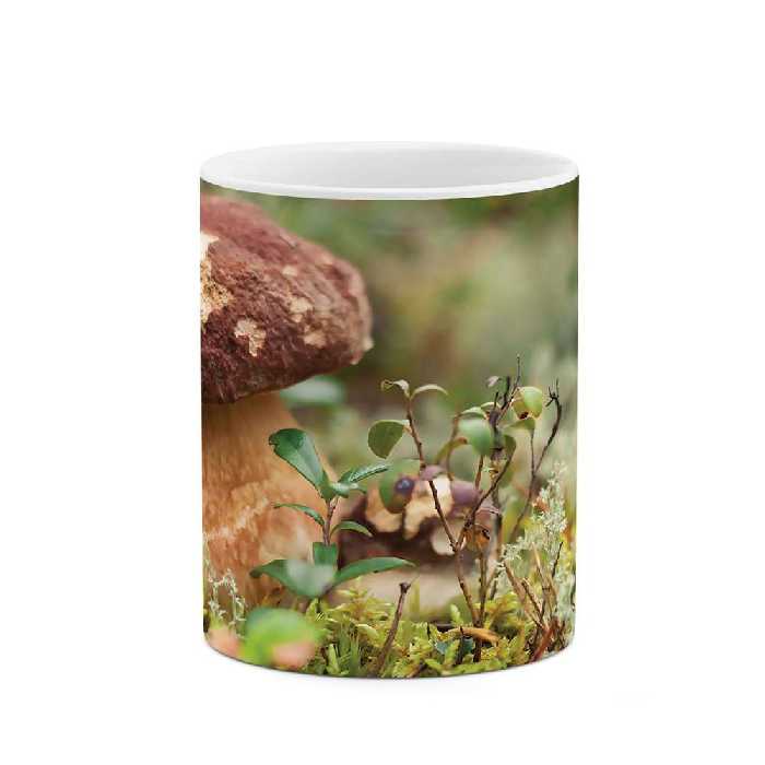 ماگ طرح قارچ مدل mgs07209