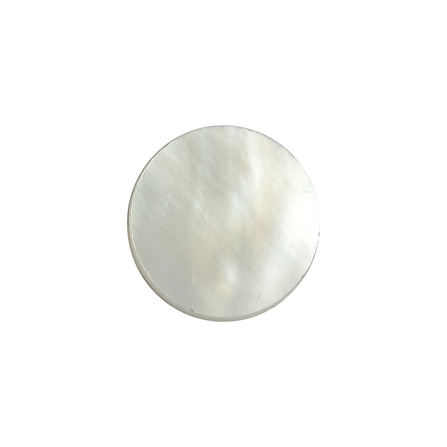 صدف طبیعی مروارید خلیج فارس مدل C225