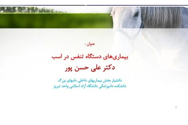 بیماری های دستگاه تنفس در اسب - 116 صفحه کامل - کتابخانه مجازی واتیکان