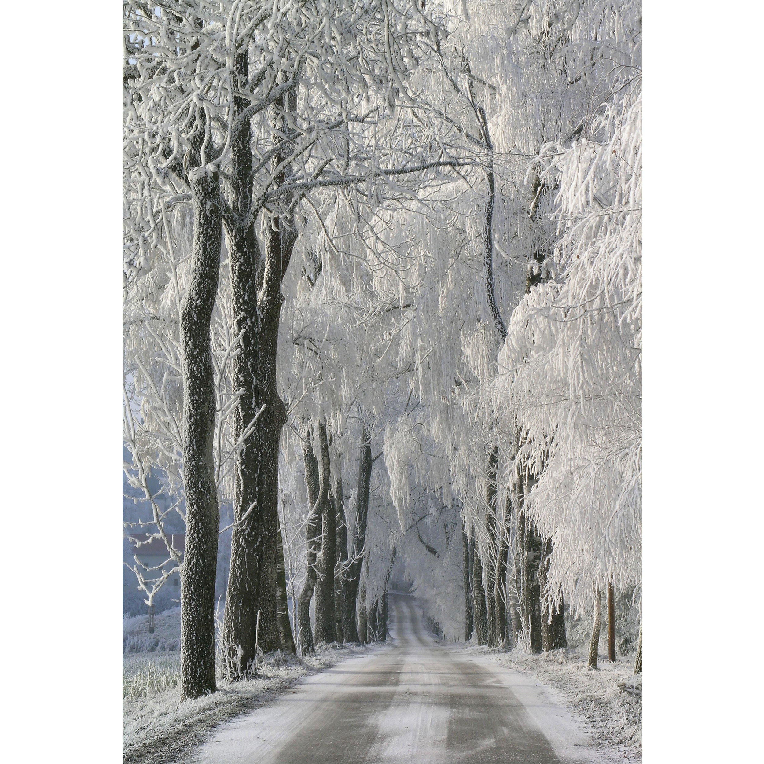 تابلو شاسی مدل جاده و درخت و برف  T7109