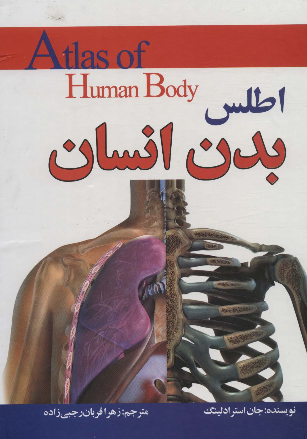 اطلس بدن انسان (گلاسه) - ناشربوک | خرید آنلاین کتاب