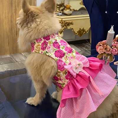 لباس سگ و گربه مدل EMEL کد J66 سایز S