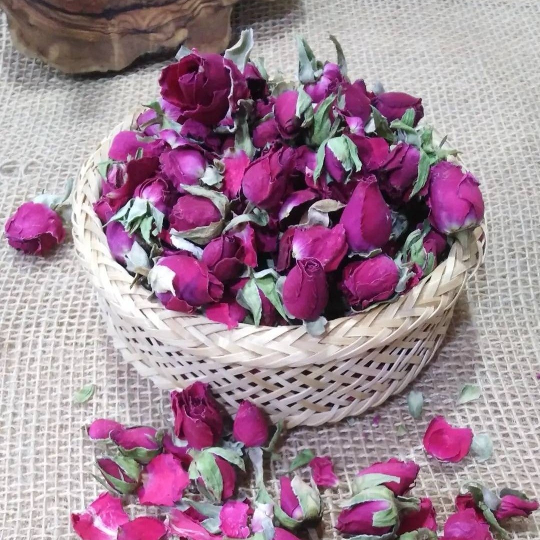 غنچه گل محمدی