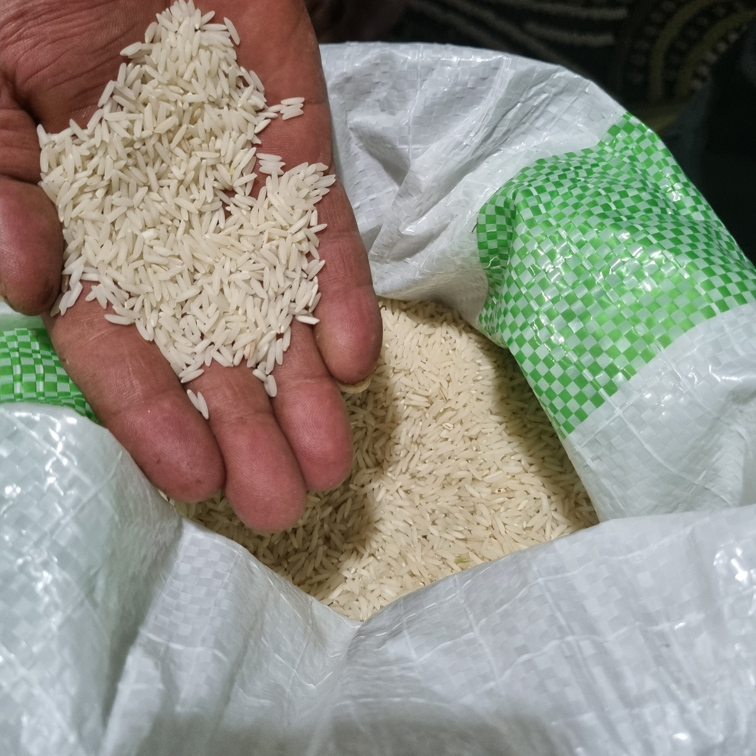 برنج هاشمی و علی کاظمی