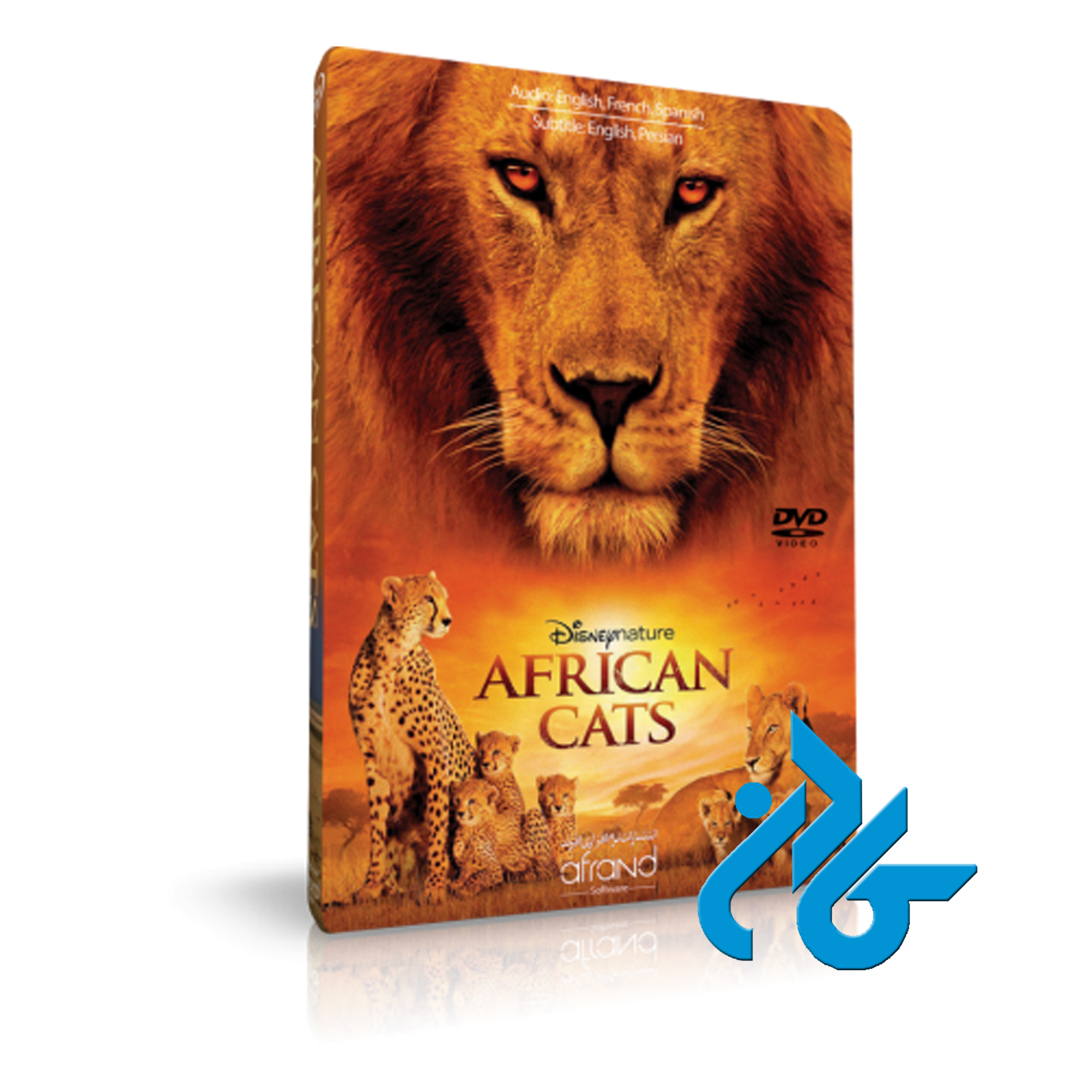 AFRICAN CATS ، با 50% تخفیف ، فـروش کـتـب زبـان ، فروشگاه اینترنتی کـادن