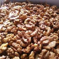 مغز گردو ایرانی اعلاء ارسال رایگان محصول کردستان 1 کیلوگرمی روزشکن