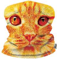 دستمال سر و گردن رنس مدل HH2-10049