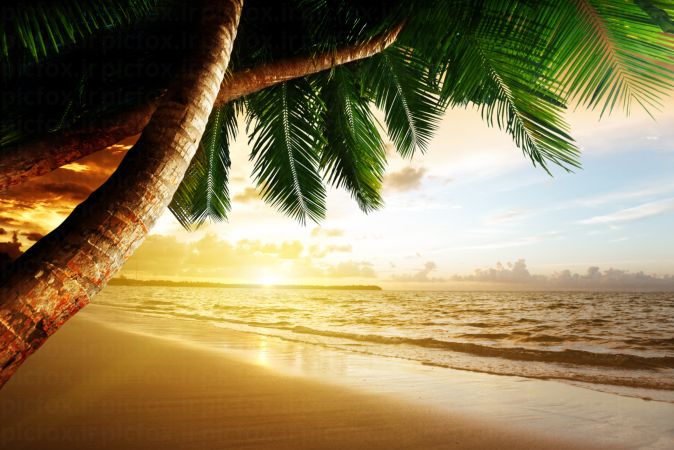 خرید و دانلود عکس Nature-Part-26 کد 36421 | پیک فاکس | Pic Fox