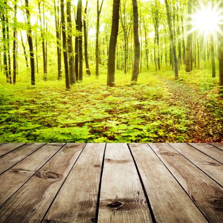 خرید و دانلود عکس Nature-Part-9 کد 37284 | پیک فاکس | Pic Fox