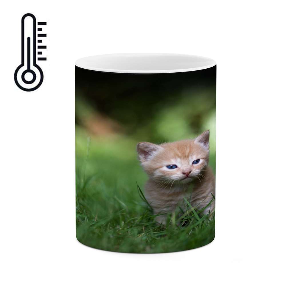 ماگ حرارتی کاکتی طرح گربه مدل mgh15571