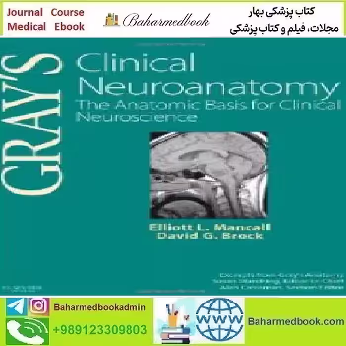 Gray's Clinical Neuroanatomy The Anatomic Basis for Clinical Ne