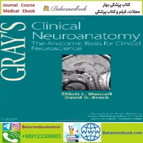 Gray's Clinical Neuroanatomy The Anatomic Basis for Clinical Ne