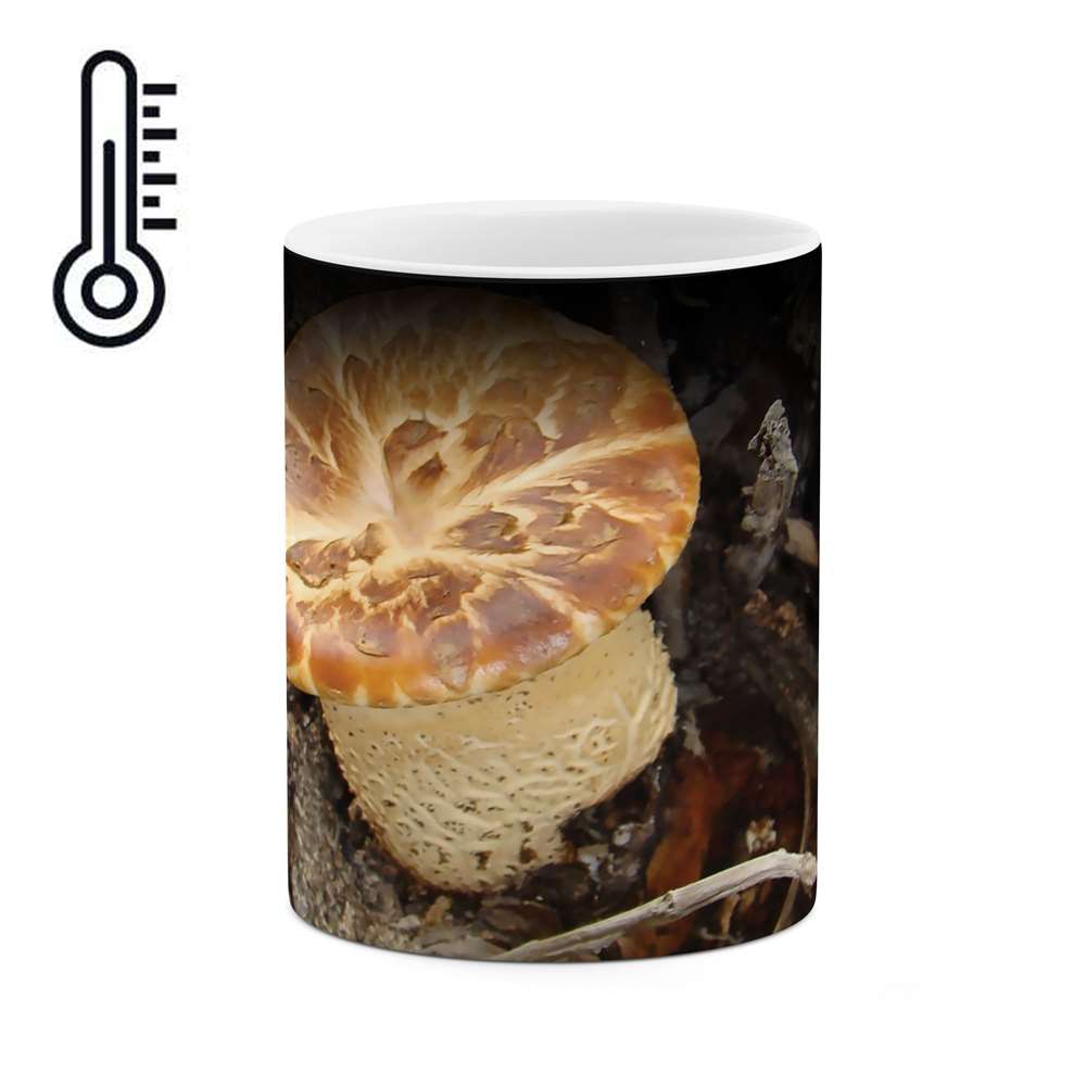 ماگ حرارتی طرح قارچ مدل mgh04934