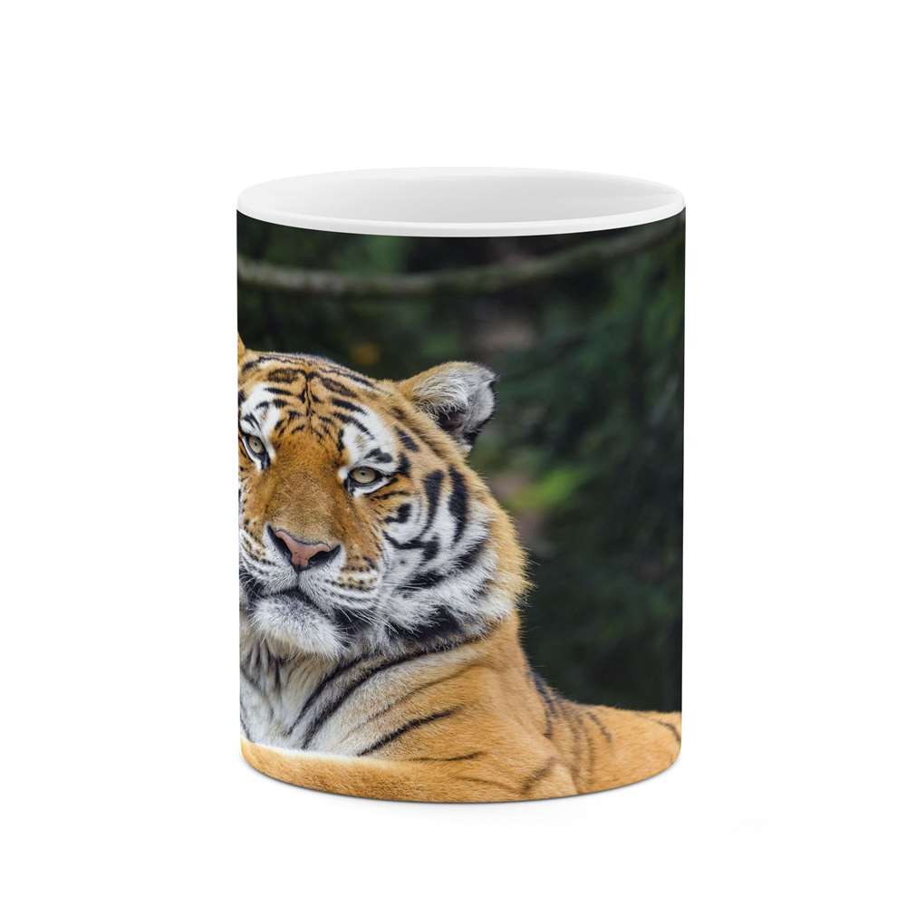 ماگ کاکتی طرح ببر مدل mgs14363