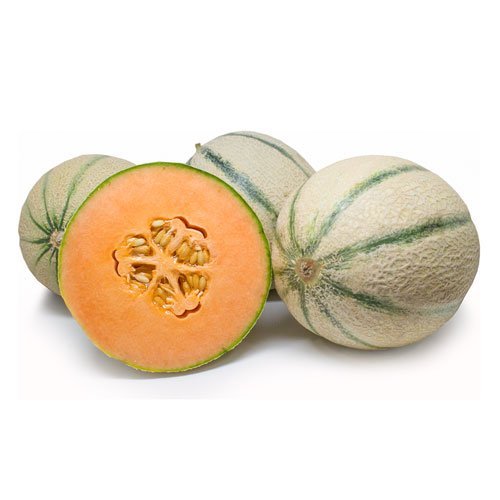 بذر طالبی سمسوری
