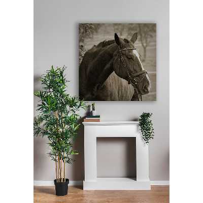 تابلو شاسی رویامد طرح اسب