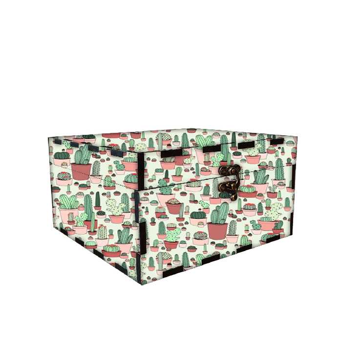 جعبه هدیه مدل کاکتوس کد 397