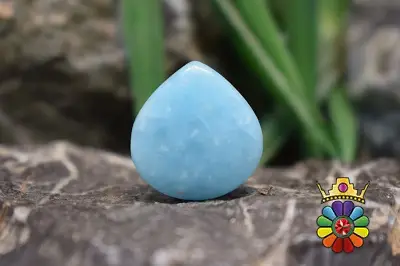 اسمیت زونیت