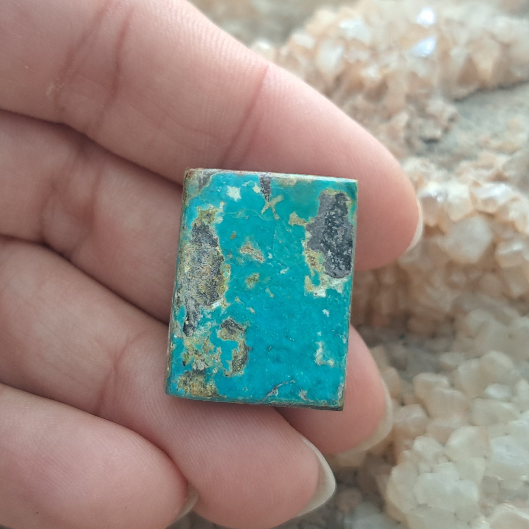 نگین فیروزه نیشابور کد 8950