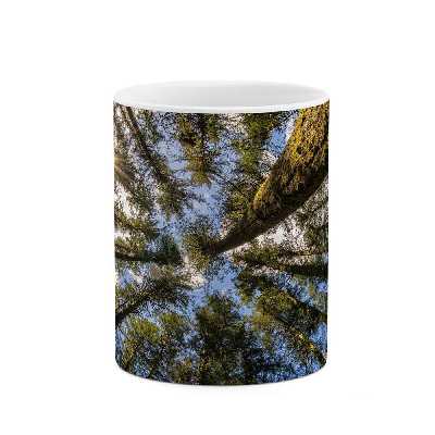 ماگ طرح منظره زیبا  مدل mgp13543