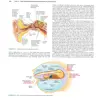 کتاب Goldfranks Toxicologic Emergencies اثر Lewis Nelson انتشارات مک گرا هیل