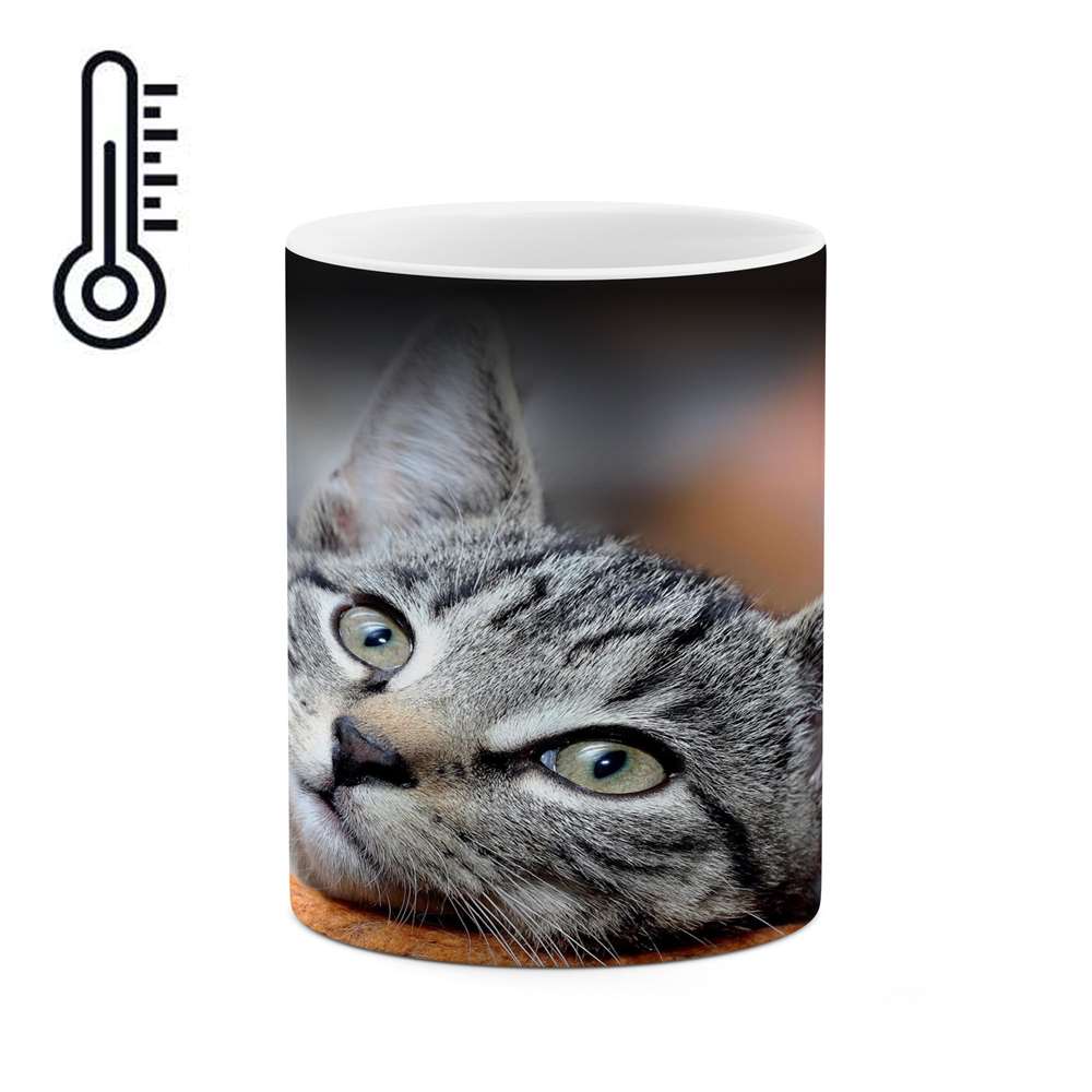 ماگ حرارتی کاکتی طرح گربه مدل mgh14047