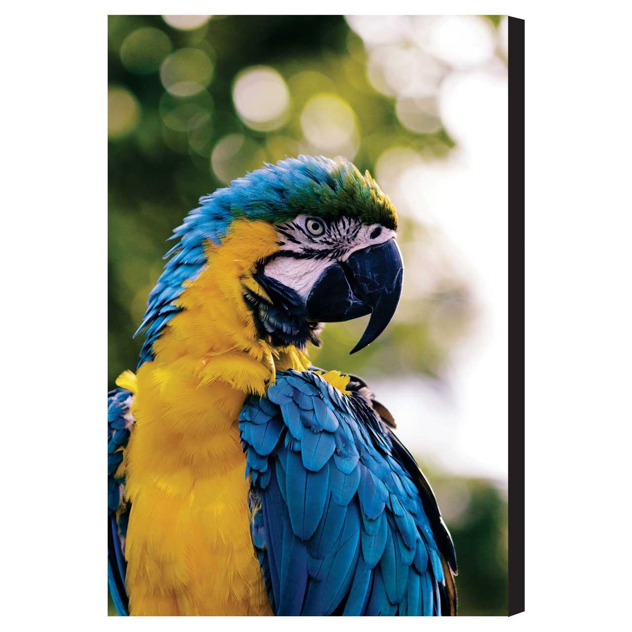 تابلو شاسی کد pt-0030