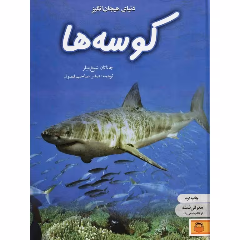 دنیای هیجان انگیز: کوسه ها