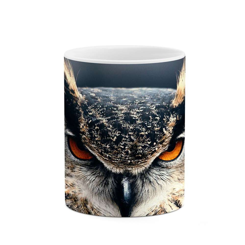 ماگ طرح جغد  مدل mgp14134