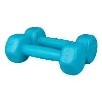 دمبل رادیس فیت مدل RFP1 وزن 1 کیلوگرم بسته 2 عددی | چاوه