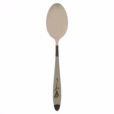 سرویس قاشق و چنگال 12 پارچه کد SKZ-12