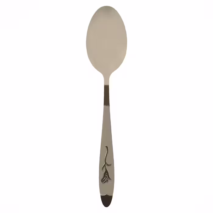 سرویس قاشق و چنگال 12 پارچه کد SKZ-12