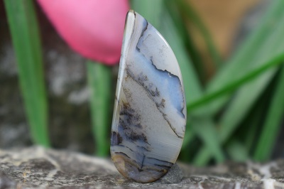 عقیق شجر هند