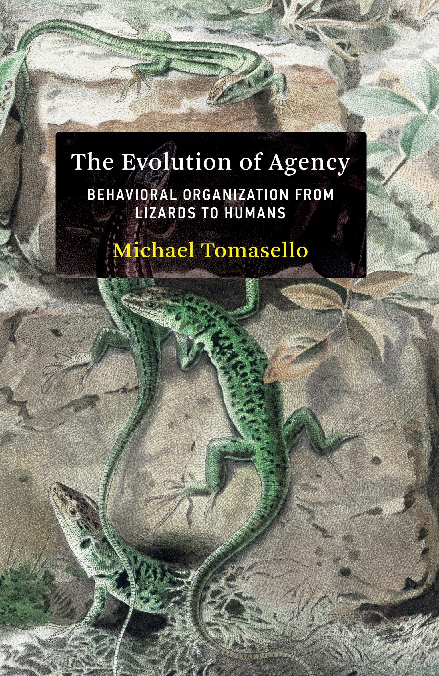 خرید و دانلود نسخه کامل کتاب The Evolution of Agency: Behavioral Organization from Lizards to Humans - Pdf