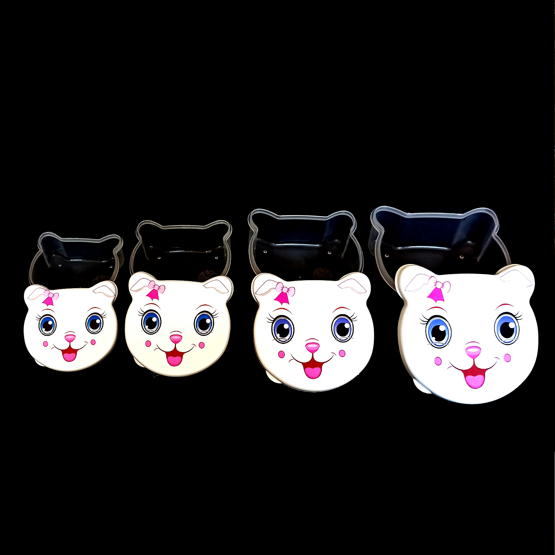 ظرف نگهدارنده مدل ds بسته 4 عددی