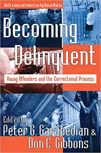 خرید و دانلود نسخه کامل کتاب Becoming Delinquent: Young Offenders and the Correctional Process