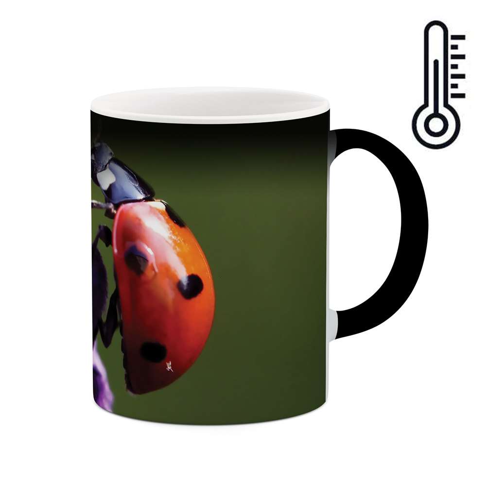 ماگ حرارتی طرح کفشدوزک مدل mgh02582