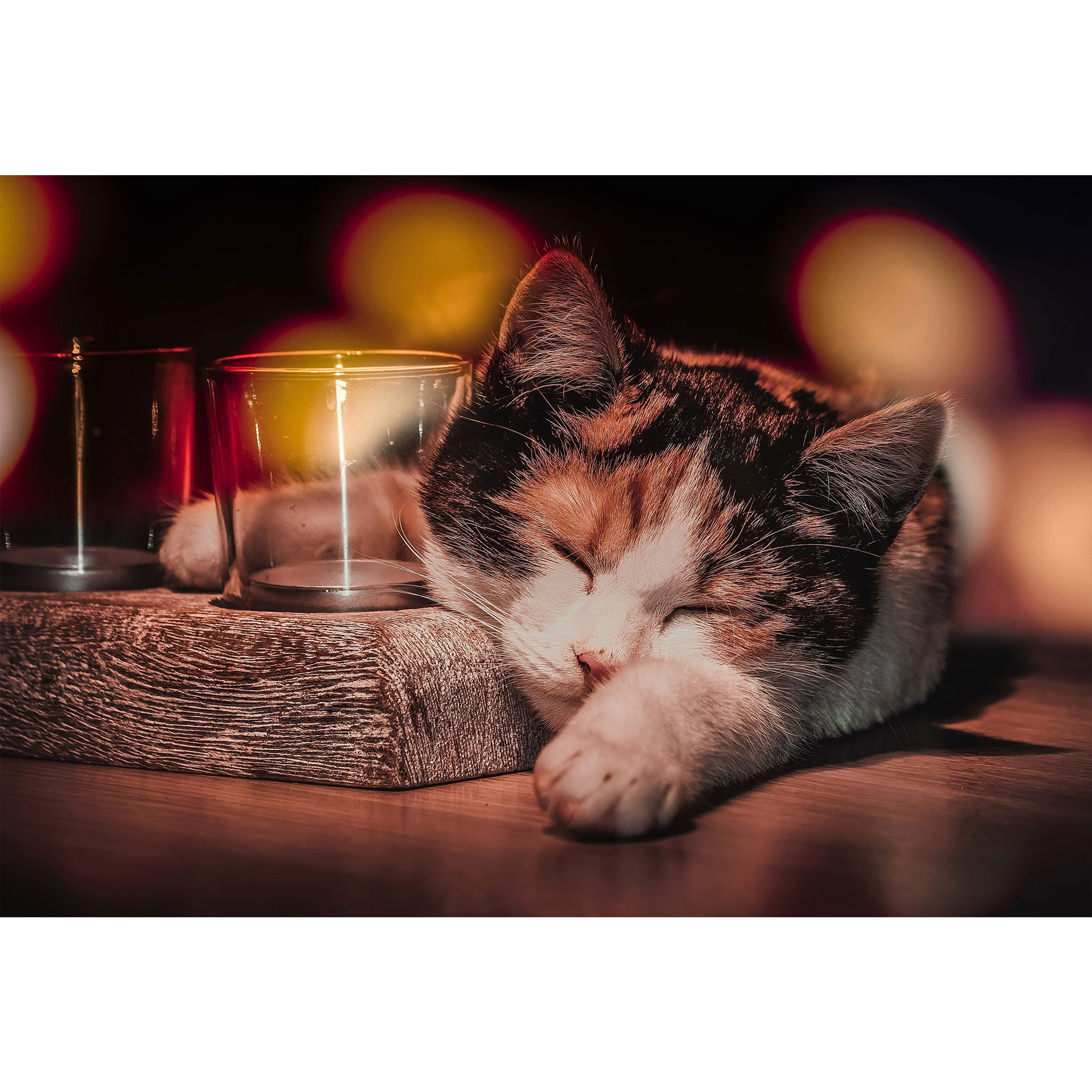 تابلو شاسی طرح گربه مدل T1507