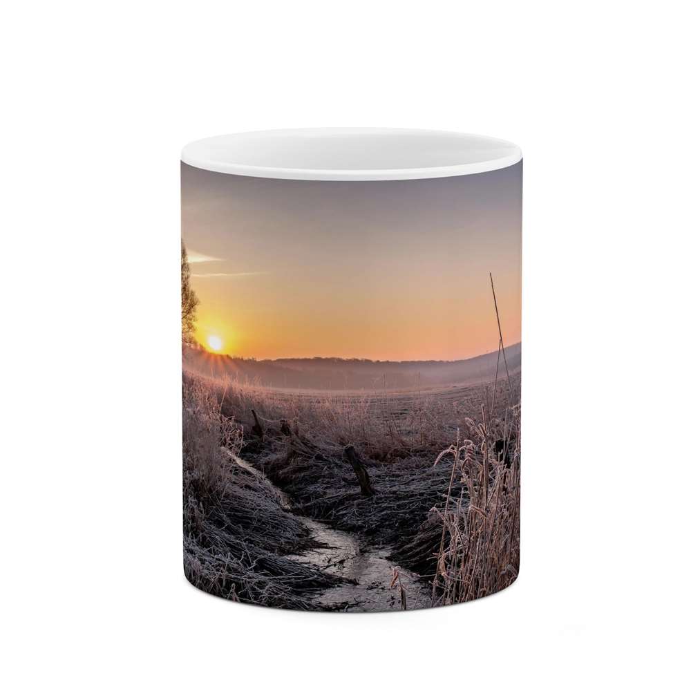 ماگ کاکتی طرح منظره مدل mgs13219