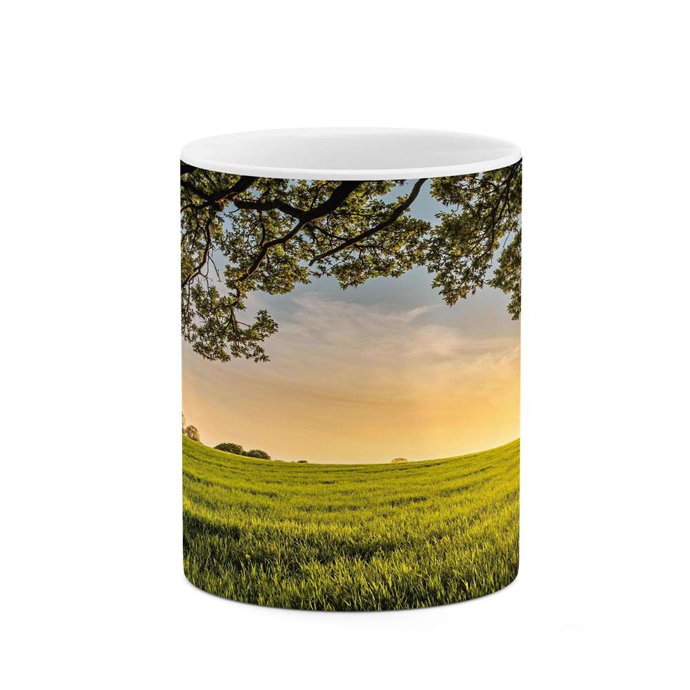 ماگ کاکتی طرح منظره مدل mgs13222