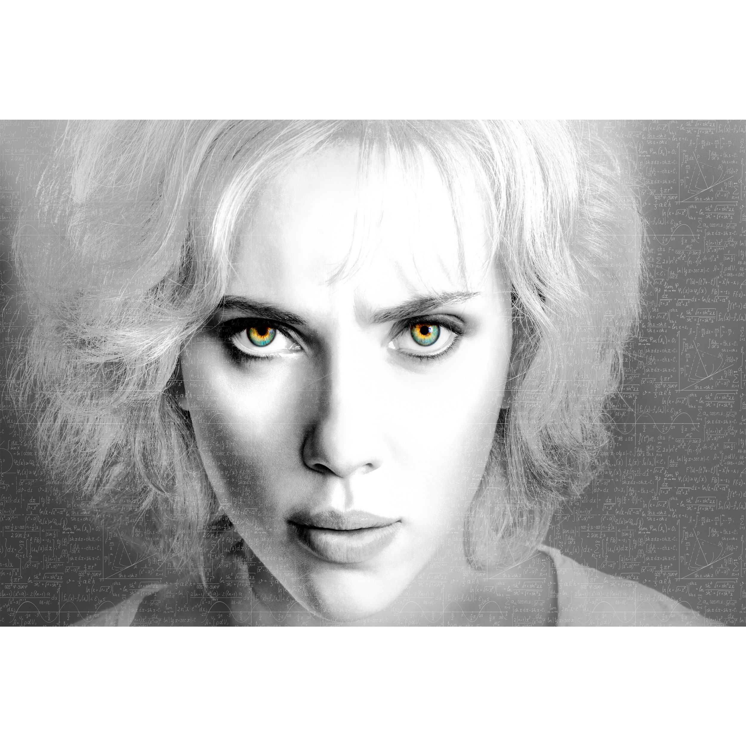 تابلو شاسی مدل بازیگر اسکارلت جوهانسون T6489