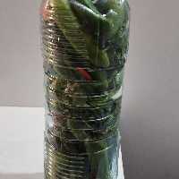 خیار شور رسایی 